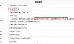 爆料最新项目是什么意思,最新爆料项目大揭秘！