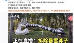 最新爆料暴雪事件,揭秘背后惊人真相