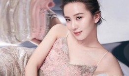 刘诗诗最新八卦爆料,神秘男友身份引网友热议