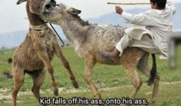 二驴爆料聊城事件视频最新,揭秘聊城事件背后惊人真相