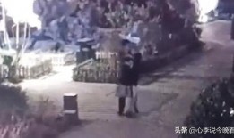 乐亭吃瓜最新事件爆料视频,最新爆料视频揭秘惊人内幕
