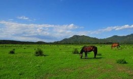 唐指山风景区最新爆料,探秘自然奇观，体验生态之旅