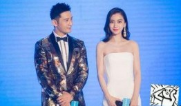 杨颖和黄晓明最新爆料,揭秘爱情背后的甜蜜与挑战